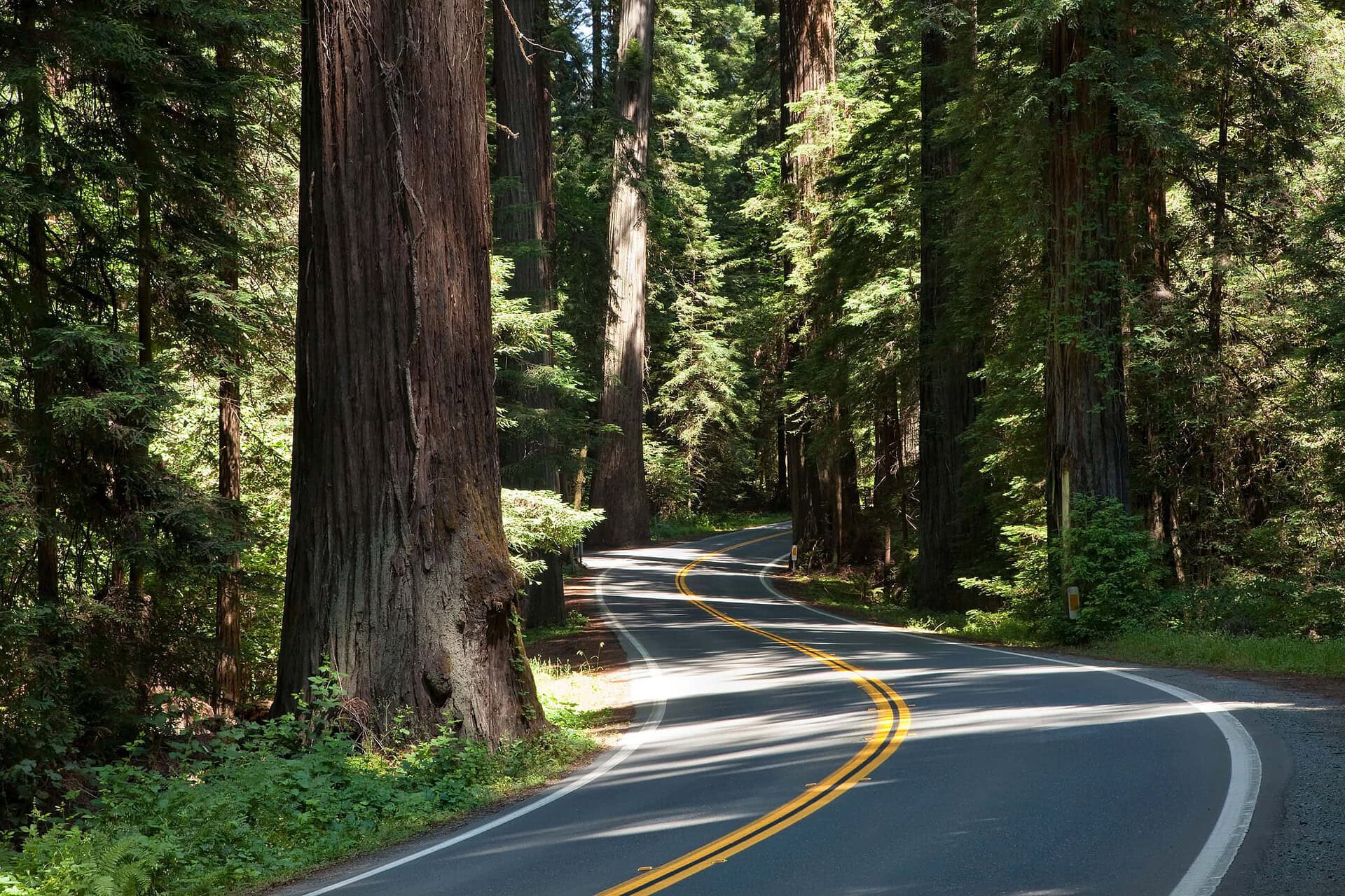 Humboldt Redwoods State Park_Blue Lake Casino Hotel
